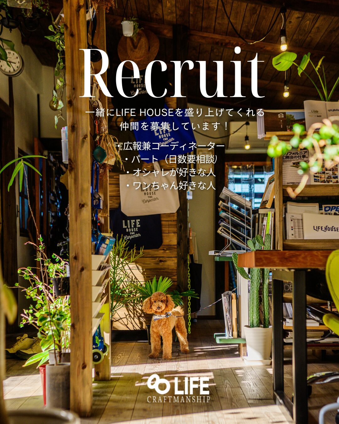 広報兼コーディネーター（パート）募集